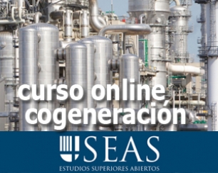 SEAS. Curso online cogeneración eléctrica