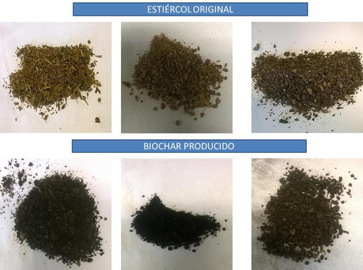 Consiguen un nuevo material extraído de residuos ganaderos que mejora notablemente los suelos