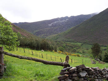 La Reserva de la Biosfera de los Ancares organiza tres nuevos seminarios