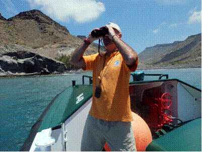 SEO/BirdLife propone medidas para evitar accidentes como el del pesquero ruso ‘Oleg Navdenov’