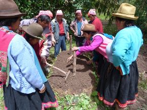 La FAO incentiva en Cusco el uso de abono orgánico