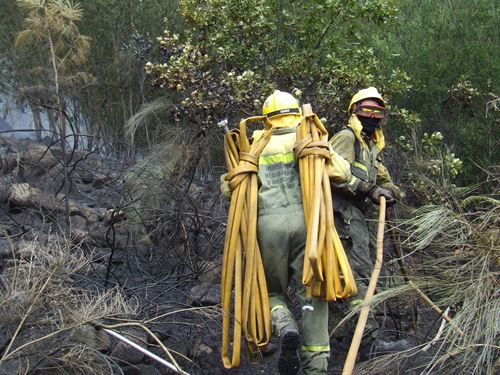 La Xunta ve intencionalidad en prácticamente todos los incendios forestales en Galicia