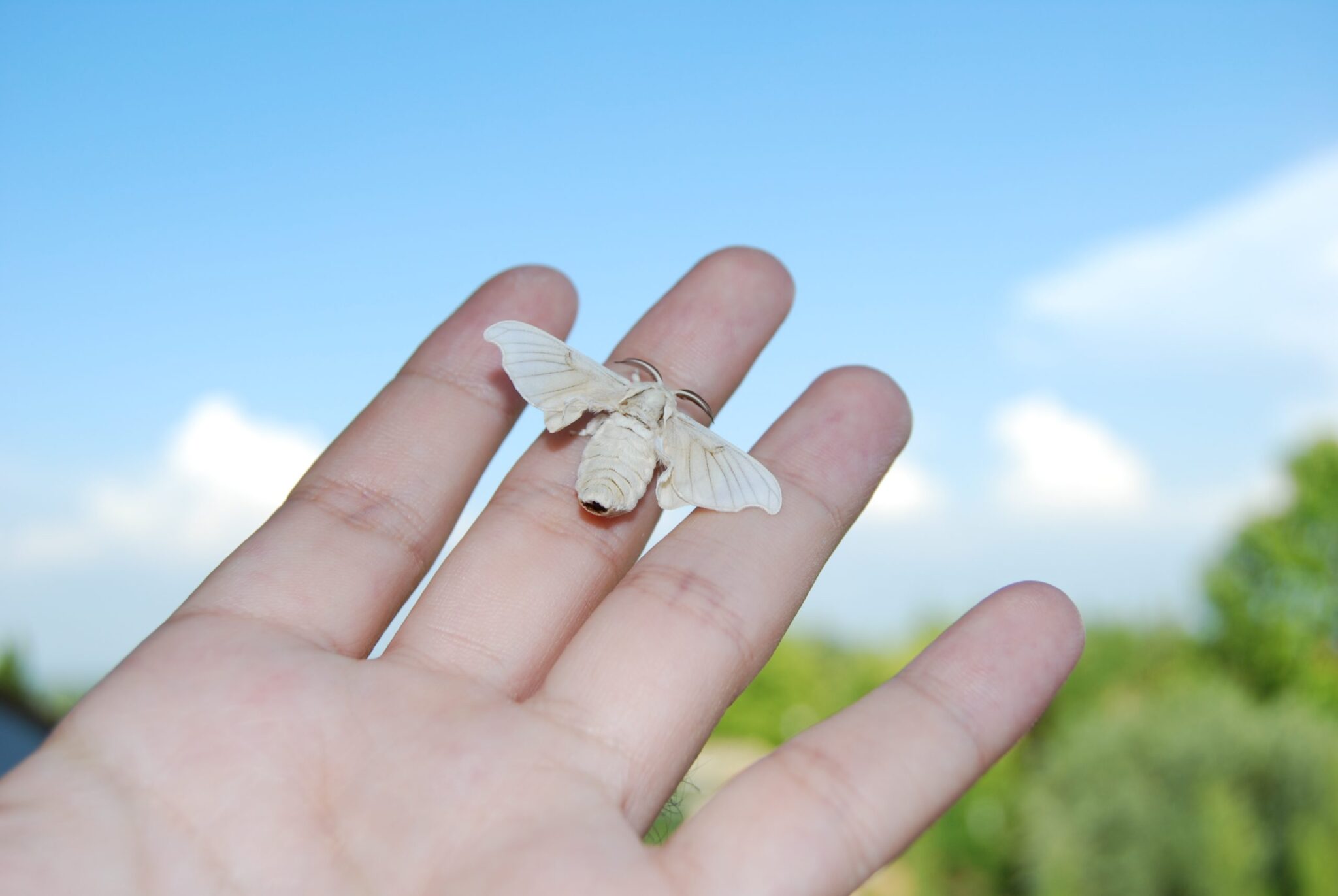 Un Patrimonio español recuperado.