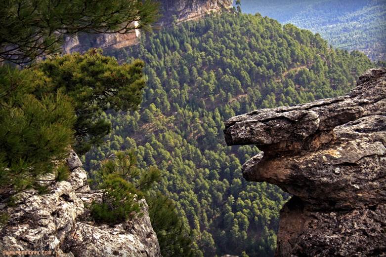 Renovada la directiva de la Junta del Parque Natural de la Serranía de Cuenca