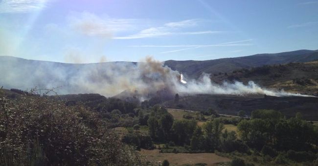 Fulminadas por el fuego 169 hectáreas de matorral y masa arbolada en Pinilla (Zamora)