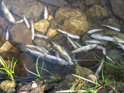 Otro Ayuntamiento asturiano sancionado por sus vertidos