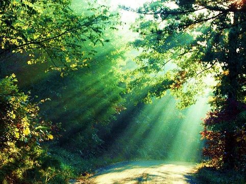 Si te apasiona la naturaleza no te puedes perder este máster