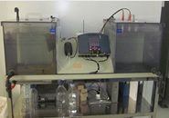 Bioelectricidad: nuevos usos en las Pilas de Combustible Biológicas para la depuración de aguas