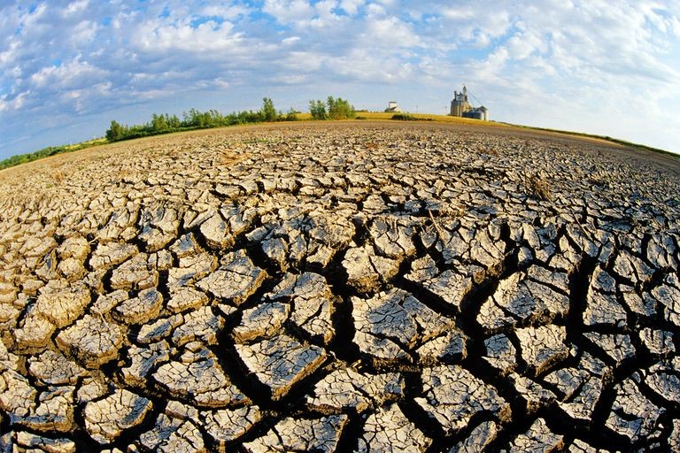 Qué es la desertificación