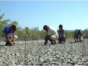 Por qué combatir el cambio climático en el sector agropecuario