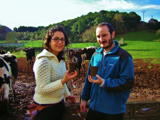 Purines transformados