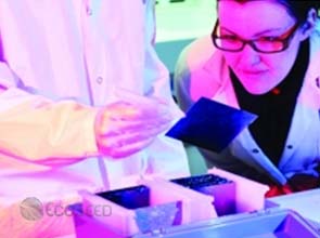 Norway allots $ 38.11 million for clean energy research