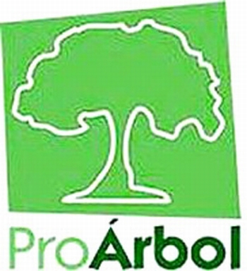 Arranca Conafor programa ProÁrbol