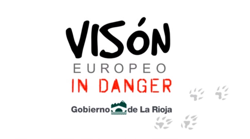 Un VIDEO sobre la conservación del visón europeo