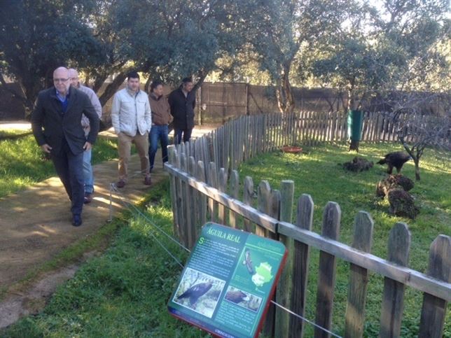 Extremadura acoge a más de 900 parejas de buitre negro