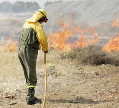 El menor gasto en prevención  y el calor convierten los bosques españoles en un polvorín