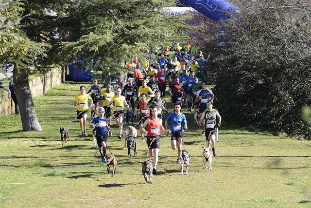 Ezcaray acoge por tercer año consecutivo el Canicross Demanda Xtrem