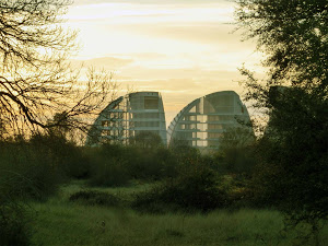 Ciudad del Medio Ambiente de Soria