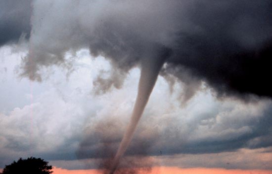 Aumenta a 116 el balance de muertos por los tornados en EEUU