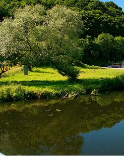 Medio Ambiente selecciona 50 proyectos de voluntariado para restauración de ríos