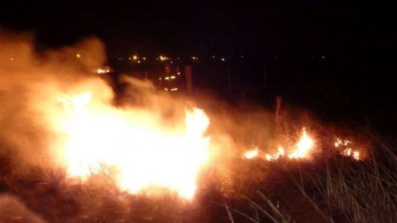 Argentina. Voraz incendio en la reserva ecológica de Punta Lara