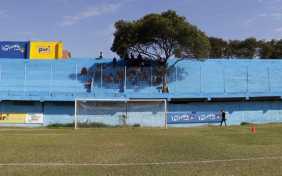 Paraguay: Un club de fútbol nombró como socio a un árbol para generar conciencia