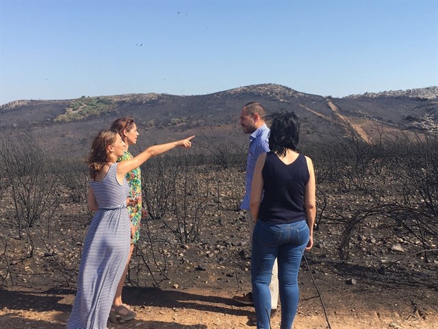 La pérdida de bosques por incendios puede provocar menos lluvias en el futuro y capturar menos CO2