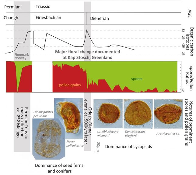 Qué sabes del desastre ecológico que asoló el planeta hace 250 millones de años