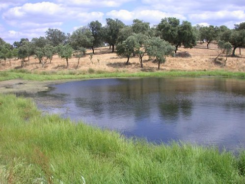 TC admite a trámite los recursos contra dos parques naturales de Castilla-La Mancha