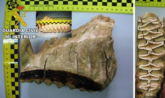 Operación Thunderbird