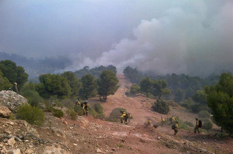 La Junta prevé comenzar a mediados de octubre la segunda fase para restaurar la zona del incendio de Quesada (Jaén)