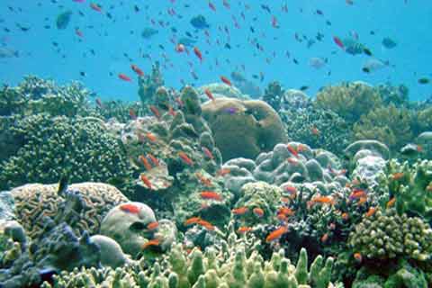 La Junta aprueba la Estrategia de Gestión Integrada de la Biodiversidad