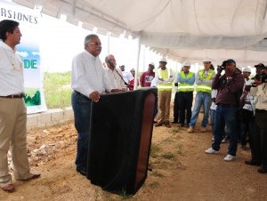 Medio Ambiente siembra árboles en la cementera