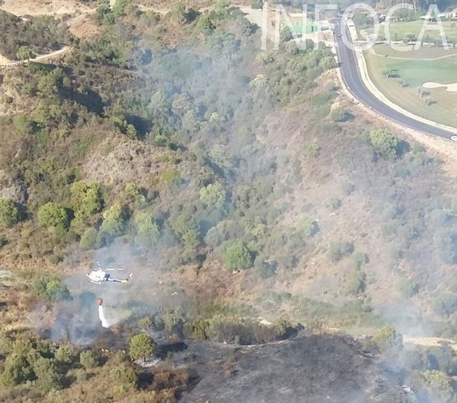 Estabilizado el incendio forestal declarado en Benahavís
