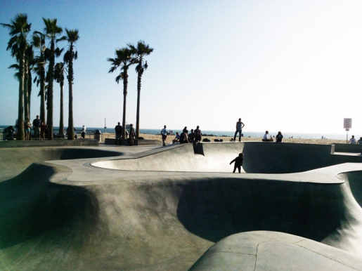 De las palmeras urbanas a las palmeras rurales