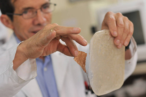 Tiritas biodegradables