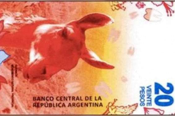 Argentina: El nuevo billete de 20 pesos tendrá un guanaco