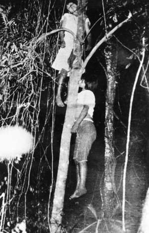 Día Mundial de la Salud Mental: la epidemia de suicidios causa estragos entre los guaraníes