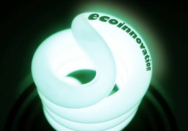 Éxito empresarial y la ecoinnovación