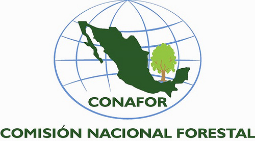 México. Desarrollan un sistema de monitoreo de emisiones de carbono forestal