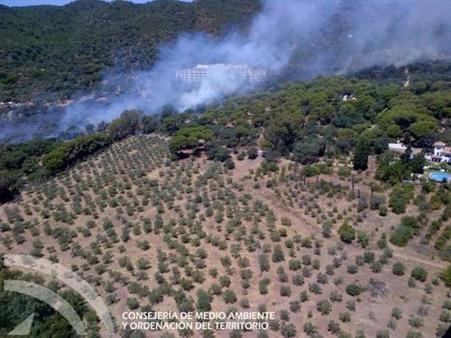 Incendios forestales y calentamiento global