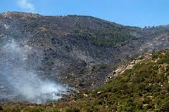 Ciudadanos solicita ayudas urgentes para los afectados por el incendio de Latedo (Zamora)