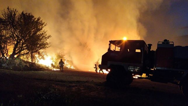 La Fiscalía de Medio Ambiente tramitó 2.160 procedimientos judiciales por delitos de incendios forestales