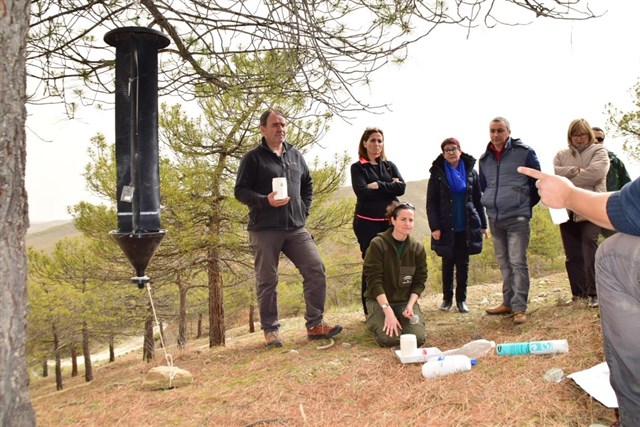 Medio Ambiente inicia tareas preventivas para frenar la mortandad entre los pinares de repoblación de la Sierra de Baza