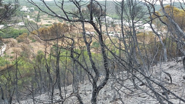 Controlado el incendio declarado en Sa Talaia de Sant Antoni (Ibiza) tras calcinar 8 hectáreas de bosque