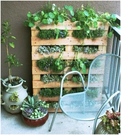 ¡Crea tu jardín con estas 5 claves de MasSaber!