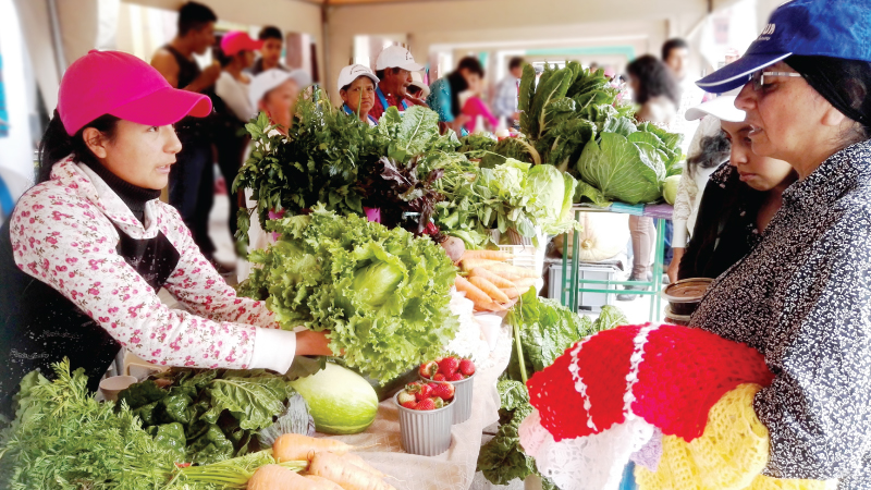 Ecuador: Un festival para compartir experiencias sobre cambio climático