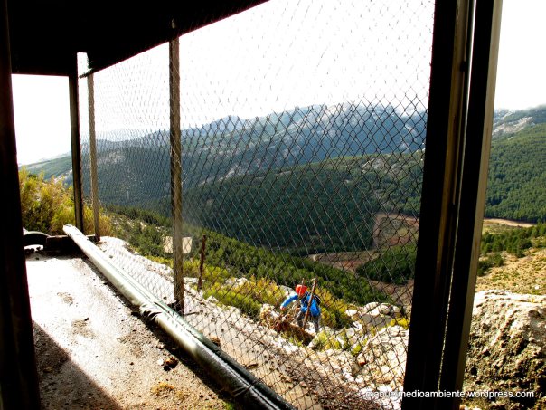El futuro de la cabra montés en el Parque Nacional de la Sierra de Guadarrama