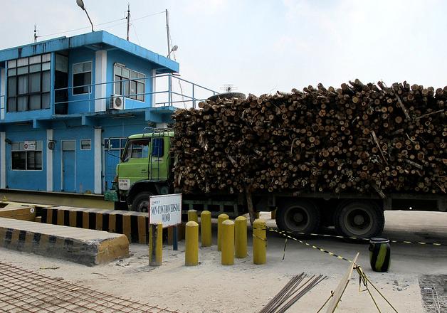 Asia Pulp &amp; Paper establece los hitos en su camino para alcanzar la certificación al 100% de suministro de madera para pasta de papel