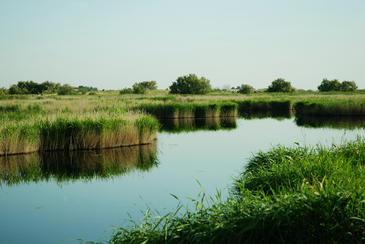 Estudian los vínculos entre los ecosistemas y el bienestar cuidadano